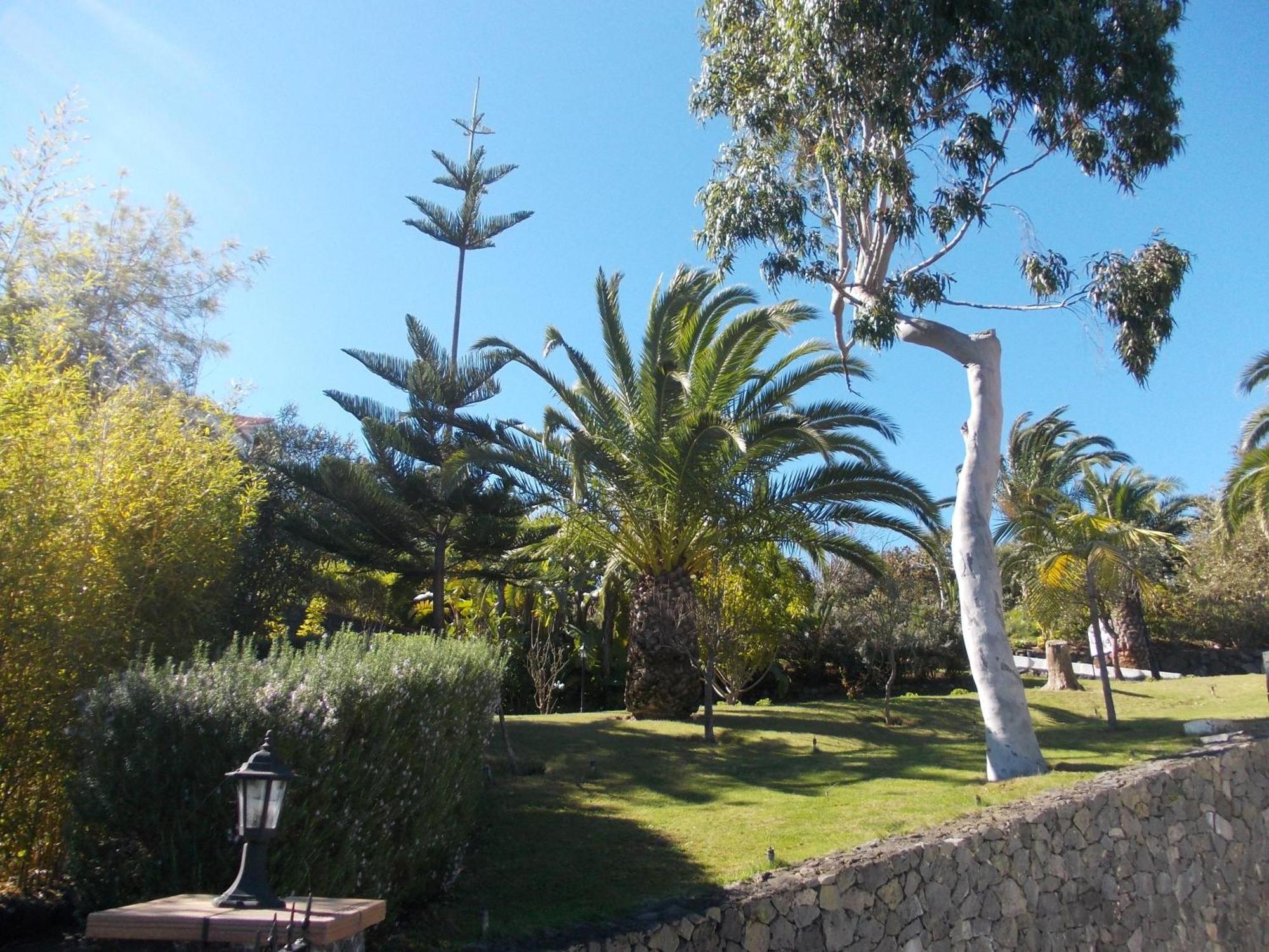 Hotel La Palma Romantica Barlovento Exterior photo