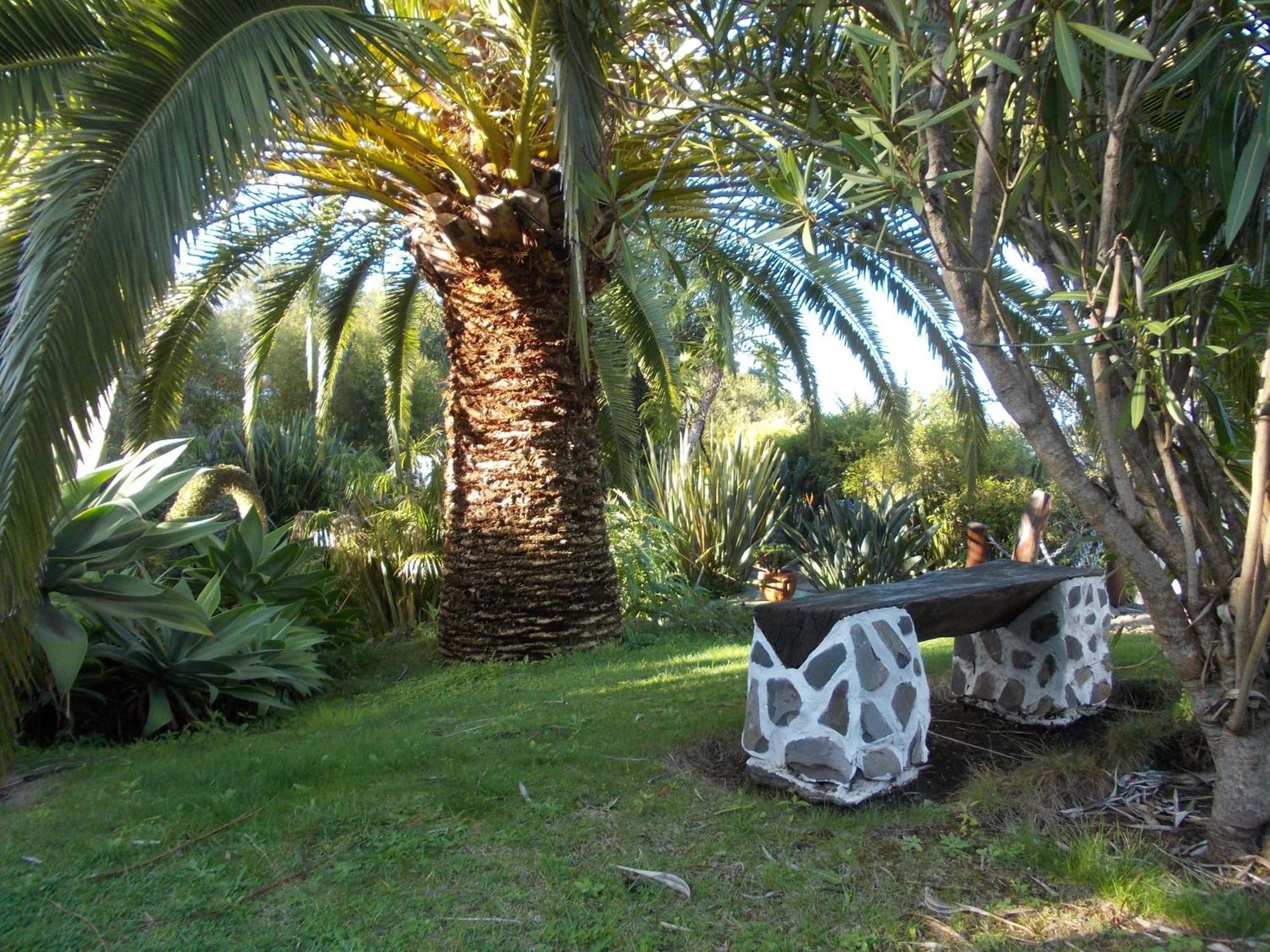 Hotel La Palma Romantica Barlovento Exterior photo