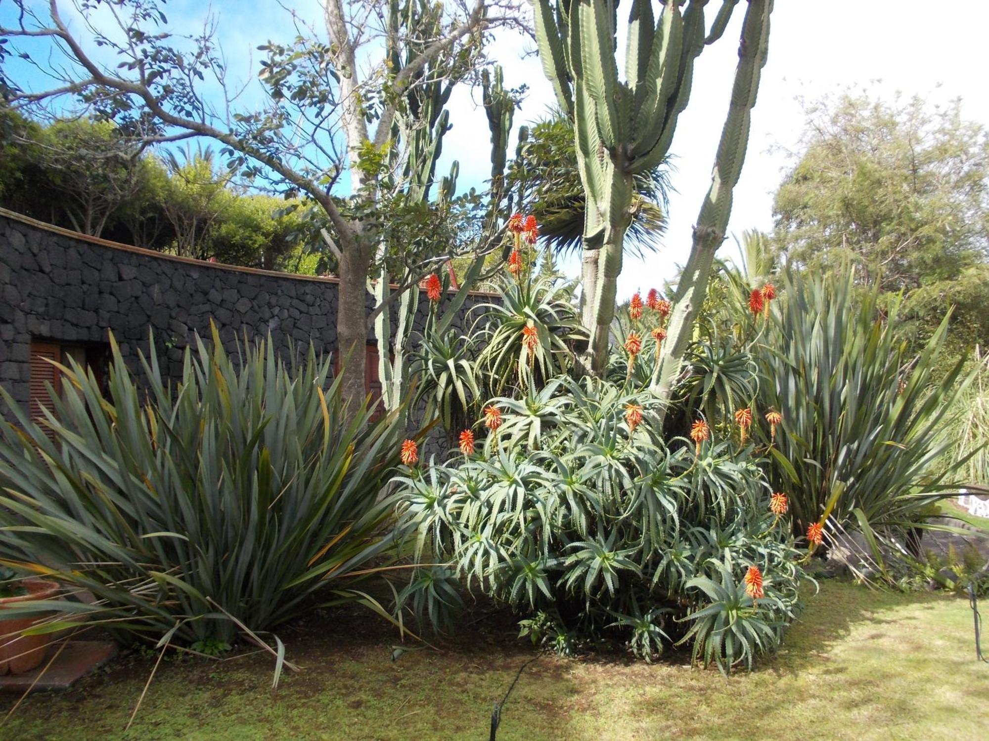 Hotel La Palma Romantica Barlovento Exterior photo